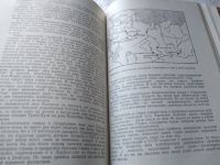 Лот: 18242010. Фото: 12. Михайлов Н.Н. Над картой Родины...