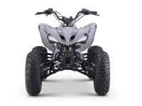 Лот: 25636247. Фото: 8. Квадроцикл SHARMAX Raizer Race...