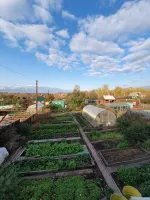 Лот: 14750964. Фото: 2. Дача, СНТ Сад № 2 Комбайнового... Продажа