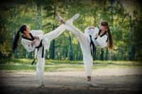 Лот: 8140060. Фото: 3. Секция олимпийского тхэквондо. Услуги