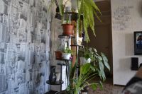 Лот: 5740842. Фото: 2. подставка под цветы. Растения и животные