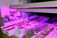 Лот: 9170814. Фото: 2. Светодиодный (LED) фитосветильник... Парники, теплицы