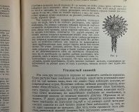 Лот: 16817288. Фото: 6. Чарльз Дарвин. Иллюстрированное...