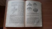 Лот: 16074009. Фото: 4. Книга Кройка и шитье 1961г., СССР... Красноярск