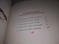 Лот: 24932828. Фото: 8. (2092318)Салют, пионерия! Рассказы...