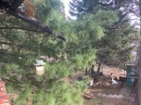 Лот: 25310331. Фото: 16. 2-комн. дача , садоводческое некоммерческое...