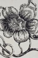 Лот: 24682602. Фото: 3. Палантин EKONIKA PREMIUM. Одежда, обувь, галантерея