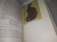 Лот: 25600745. Фото: 10. вбР/оз(00-33)К-кт из 2-х книг...