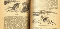 Лот: 16195504. Фото: 4. Протасов Б.Д. Охота с гончими... Красноярск