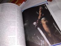 Лот: 15147309. Фото: 5. Кельты, О. Дуан, серия "Мифы и...