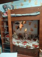 Лот: 17968432. Фото: 4. Детская, подростковая двухъярусная... Красноярск