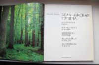 Лот: 10861290. Фото: 2. Книга. "Беловежская пуща". Подарочное... Хобби, туризм, спорт