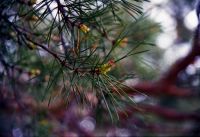 Лот: 14480150. Фото: 7. Выгодно. Плёночный фотоаппарат...