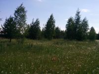 Лот: 5832180. Фото: 2. Участок в р-не совхоза Сибиряк... Продажа