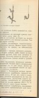 Лот: 7376792. Фото: 2. Струженцов, Дмитрий Иванович Наедине... Хобби, туризм, спорт