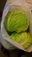 Лот: 4578908. Фото: 5. Капуста белокочанная, Экологически...