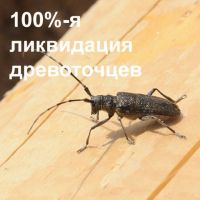 Лот: 16671144. Фото: 3. Антисептик от синевы и жуков Lignofix... Строительство и ремонт