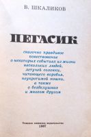 Лот: 25678755. Фото: 3. Шкаликов Владимир - Пегасик... Литература, книги