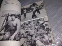 Лот: 19165085. Фото: 8. Кассис В. Б., Свирин С. Г. Таиланд...