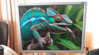 Лот: 25761806. Фото: 3. 21" Монитор Samsung SyncMaster... Компьютеры, оргтехника, канцтовары