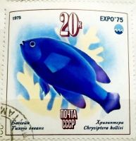 Лот: 12952936. Фото: 3. Марки Фауна. СССР. Всемирная выставка... Красноярск