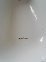 Лот: 8379407. Фото: 2. Ванна. Сантехника, водопровод