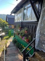 Лот: 25631470. Фото: 21. 1-комн. дача , СНТ Хутор СНТ Хутор...