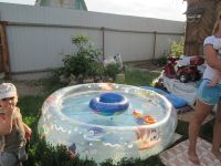 Лот: 8765710. Фото: 12. Продам жилой дом Терентьево Родничок-2...