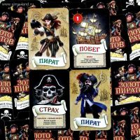 Лот: 10701655. Фото: 4. Игра настольная "Золото пиратов... Красноярск