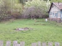 Лот: 3465596. Фото: 5. Земельный участок (ИЖС) ул. Турбаза