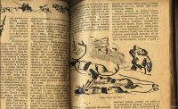 Лот: 15025732. Фото: 4. журнал Всемирный следопыт * 6... Красноярск