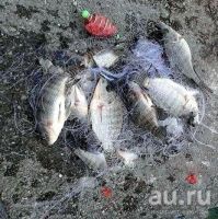 Лот: 11786343. Фото: 3. Мини сеть с кормушкой (ячея в... Туризм, охота, рыбалка, самооборона