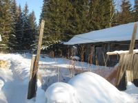 Лот: 6848415. Фото: 8. Верхняя базаиха