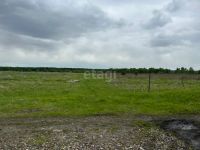 Лот: 25290393. Фото: 3. участок , посёлок Первоманск посёлок... Недвижимость