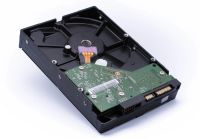 Лот: 10871516. Фото: 4. Жесткий диск WD Blue 500 Gb 500... Красноярск