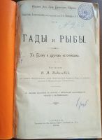 Лот: 25079026. Фото: 2. Гады и рыбы. По Брэму и другим... Антиквариат