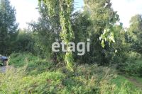 Лот: 25290660. Фото: 9. 2-комн. дом , садоводческое некоммерческое...