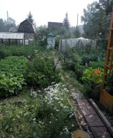 Лот: 13787821. Фото: 8. Продается дом 50 кв.м. 5 сот...