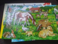 Лот: 19681635. Фото: 2. Пазлы . Два разных в одной коробке. Игрушки