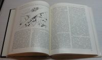 Лот: 14951434. Фото: 3. Иконников А.В. Функция, форма... Литература, книги