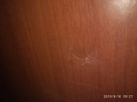 Лот: 14577354. Фото: 6. вторая входная дверь
