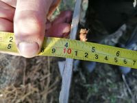 Лот: 18997747. Фото: 3. Лист листы бак нержавейка. Строительство и ремонт