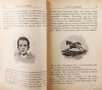 Лот: 13837655. Фото: 2. В.П. Желиховская. Мала былинка... Антиквариат