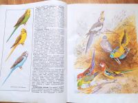 Лот: 7124250. Фото: 2. Книга: Наши питомцы. Птицы и звери... Наука и техника