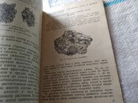 Лот: 17449234. Фото: 13. Келлер Б.А. Происхождение и развитие...
