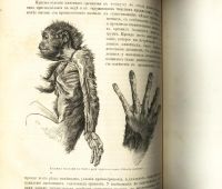 Лот: 15718667. Фото: 14. Происхождение животного мира доктора...