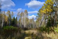 Лот: 16272378. Фото: 2. Участок 10 сот. в ДНП «Изумруд... Продажа