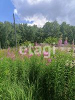 Лот: 25289567. Фото: 18. 4-комн. дом , село Бартат улица...
