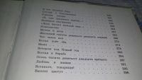 Лот: 8645842. Фото: 8. Жизнь Ленина, М.Прилежаева, Эту...