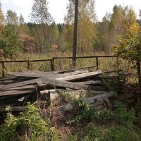 Лот: 23696011. Фото: 3. Распилить дрова. Для дачи, дома, огорода, бани, парка